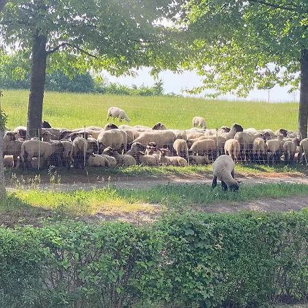 Apartmán Kronsblick Hannover-messe